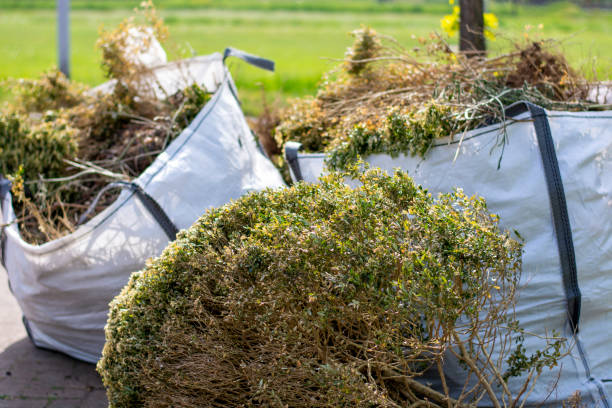 Best Mattress Disposal  in Mullens, WV