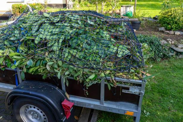 Best Recycling Services for Junk  in Mullens, WV
